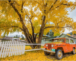 Downtown Creede Fall Colors (photo by Brandon Jennings)