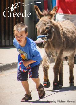 DonkeyDash 2020 Pinterest3 DonkeyDash 2020 Pinterest3